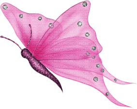 mariposa - png grátis