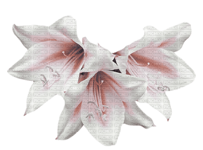 Tournesol94 fleur - Free PNG