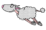 sheep gif mouton - Bezmaksas animēts GIF