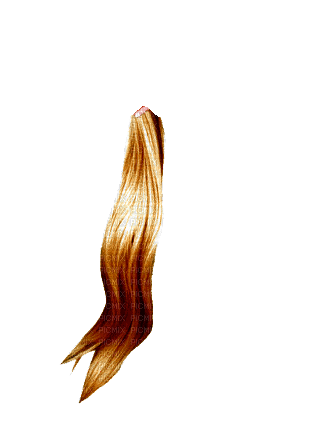 Hair.Cheveux.Волосы.gif.Victoriabea - Ingyenes animált GIF