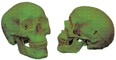 Gothic skull by nataliplus - бесплатно png