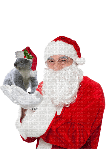 Christmas in Australia bp - png gratis