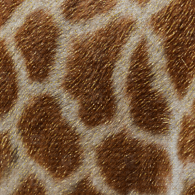 Giraffe Pattern - GIF animé gratuit