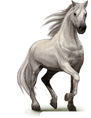 caballo - бесплатно png
