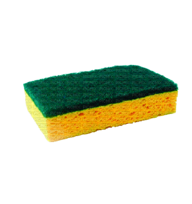 sponge - nemokama png