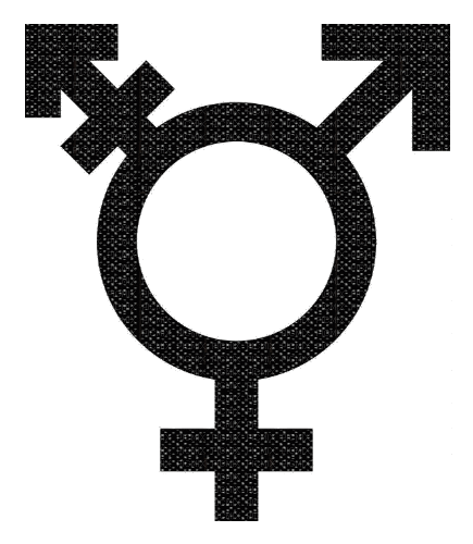 trans symbol glitter - Бесплатный анимированный гифка