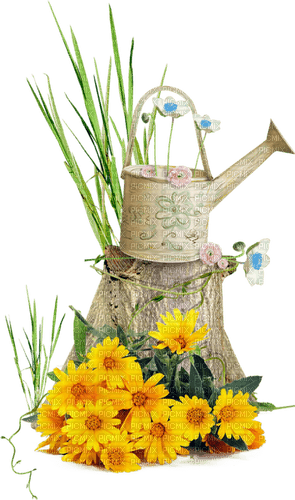 spring watering can Bb2 - png gratuito