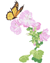 butterfly flower - GIF animate gratis