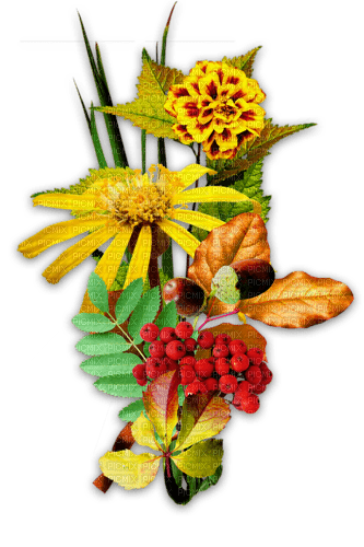 Flores de otoño - PNG gratuit