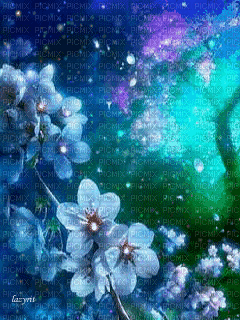 Background Night Flower - Ingyenes animált GIF