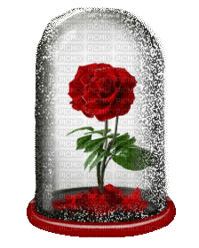 dekor -virág-ünnepek - Ingyenes animált GIF