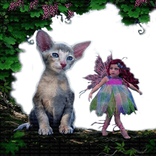 fairy and cat by nataliplus - nemokama png