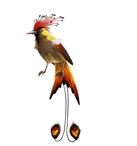 pájaro  fantasía - besplatni png