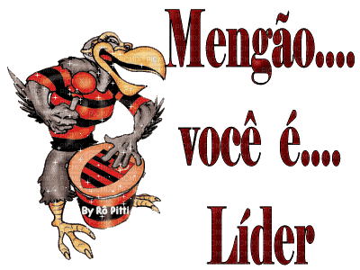 Flamengo - GIF animado grátis