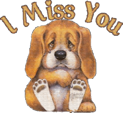 ''I Miss You '' Puppy - Free animated GIF