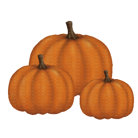 Pumpkin Spice Harvest - Free animated GIF