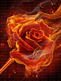 burning rose - GIF animate gratis