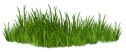 kikkapink deco grass green - png ฟรี