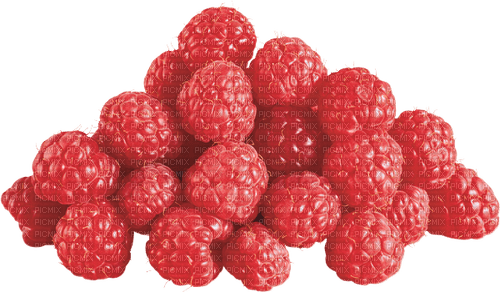 Fruit. Raspberry. Leila - png grátis