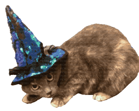 Cat Witch - Безплатен анимиран GIF