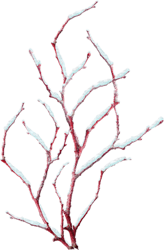 Winter.Tree.Red.White - Free PNG
