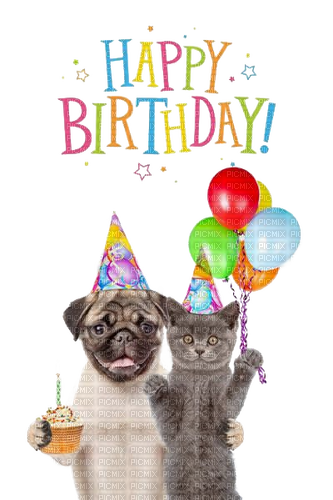 Happy Birthday, Hund, Katze - darmowe png