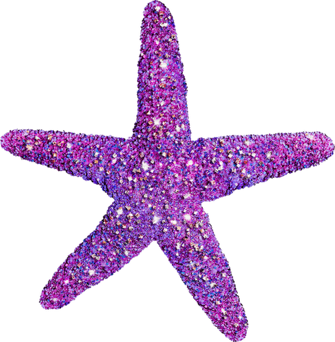 Starfish.Purple - 免费PNG