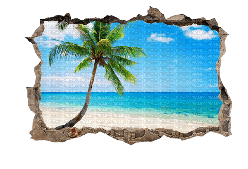 Fond mer et palmiers - PNG gratuit