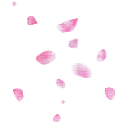 pink petals falling - nemokama png
