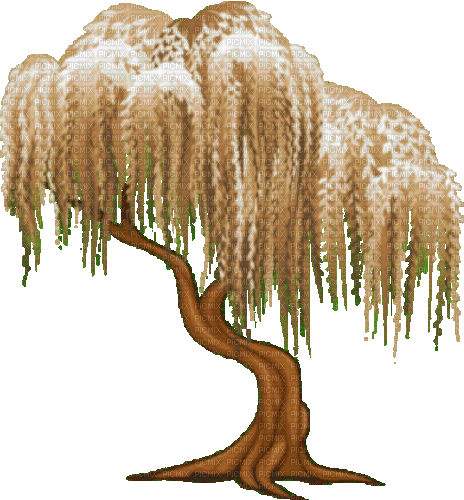 tree - GIF animate gratis