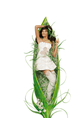 flowers lily of the valley bp - bezmaksas png