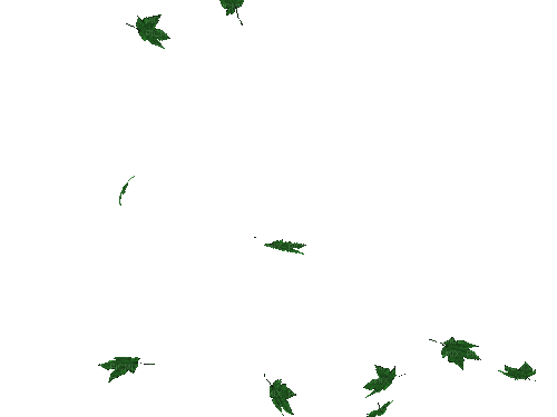 verde - Bezmaksas animēts GIF