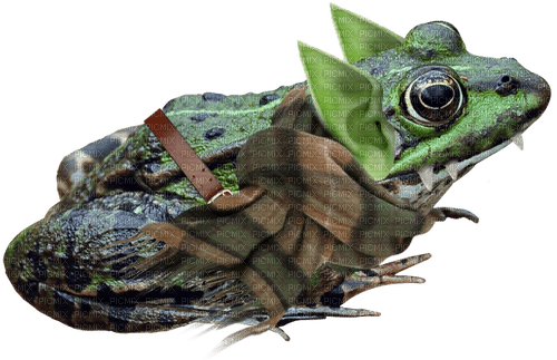 goblin frog - gratis png