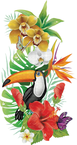 Kaz_Creations Bird-Flowers-Fleurs - gratis png