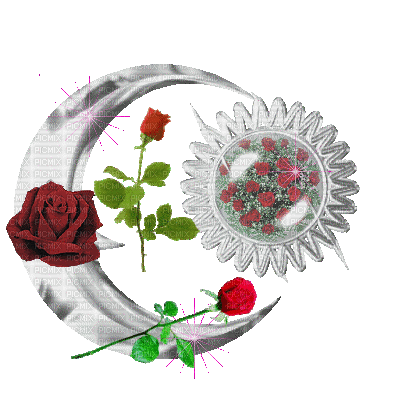 lune et rose rouge - Бесплатный анимированный гифка