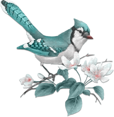 soave deco spring bird branch flowers pink teal - PNG gratuit