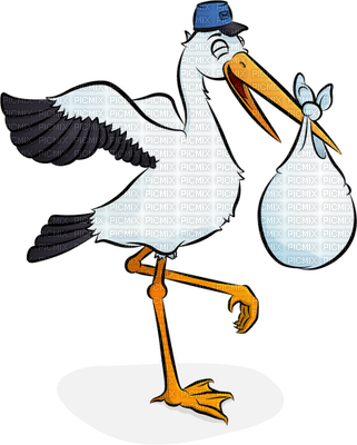 stork cigogne - png ฟรี