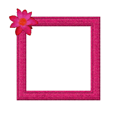 Small Pink Frame - GIF animate gratis