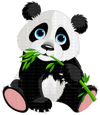 Kaz_Creations Cartoons Cartoon Panda - zadarmo png