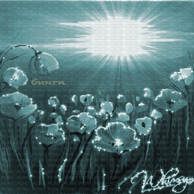 Y.A.M._Summer background flowers blue - GIF animate gratis
