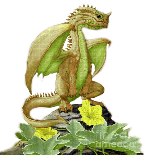 green dragon by nataliplus - безплатен png