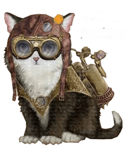 steampunk cat - ücretsiz png