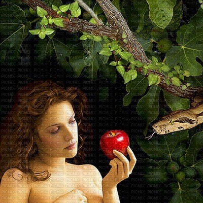 Adam and Eve bp - 免费PNG
