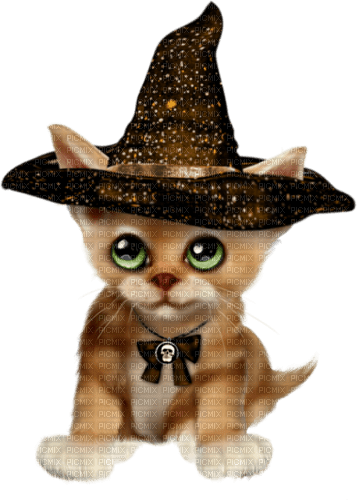 Gato brujo - darmowe png