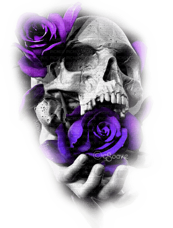 soave deco gothic skull  black white purple - zadarmo png