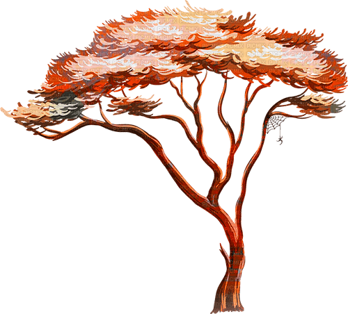 soave deco tree africa orange brown - zdarma png
