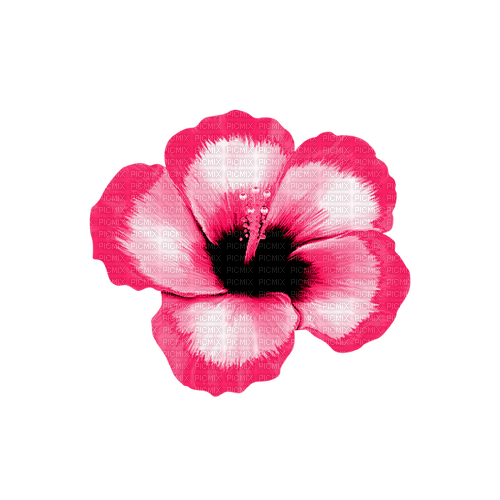 Tropical.Flower.Pink - бесплатно png