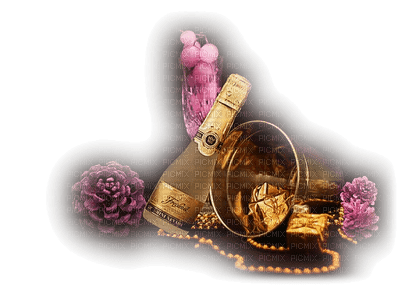 Kaz_Creations Deco Champagne - PNG gratuit