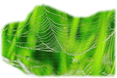 nature - 免费PNG