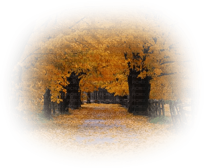 patymirabelle paysage automne - δωρεάν png
